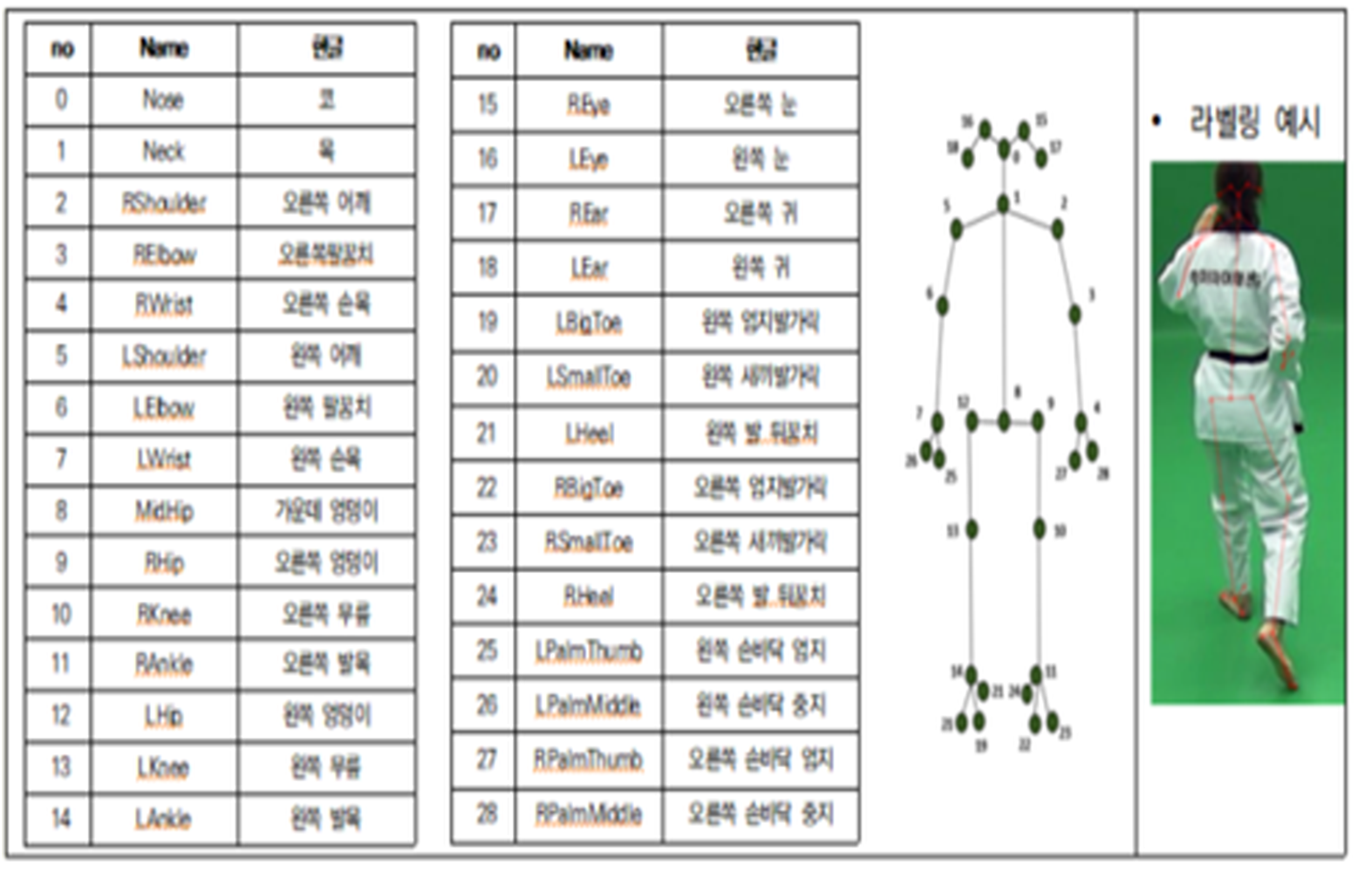 고양시 태권도 데이터- 대표도면- 태권도 29개 키포인트