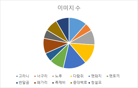 객체 클래스별 분포